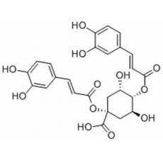 1,3-二咖啡?？鼘幩?洋薊素