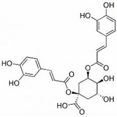 1,5-二咖啡?？鼘幩? width=