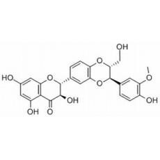 水飛薊賓