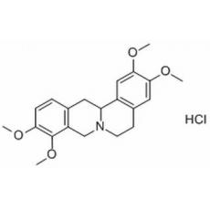 延胡索乙素