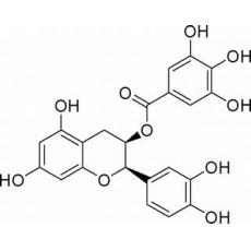 表兒茶素沒(méi)食子酸酯