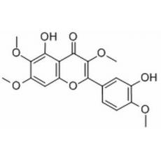 蔓荊子黃素