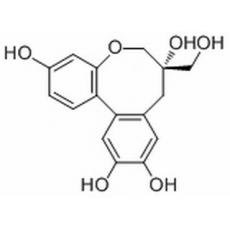 原蘇木素B