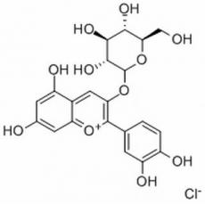 矢車(chē)菊素-3-O-葡萄糖苷