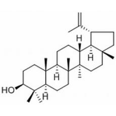 羽扇豆醇