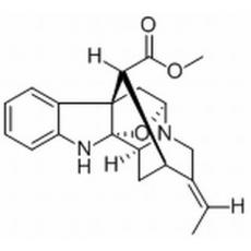 鴨腳樹(shù)葉堿