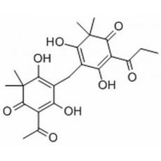 白綿馬素AP