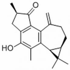 麻楓樹酚酮B