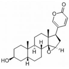 酯蟾毒配基