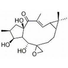 環(huán)氧續(xù)隨子醇