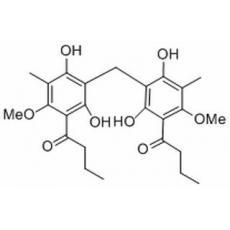 偽綿馬素