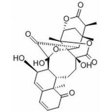 酸漿苦味素L