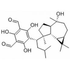 大果桉醛B