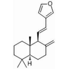 二羥丙茶堿E