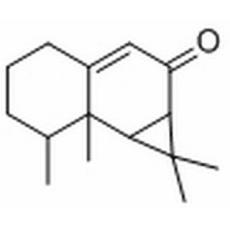 馬兜鈴?fù)? width=