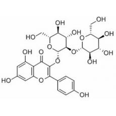 山奈酚-3-O-β-D-槐糖苷