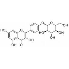 山奈酚-4’-葡萄糖苷