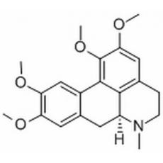 脫氫海罌粟堿