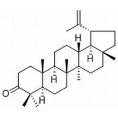 羽扇烯酮