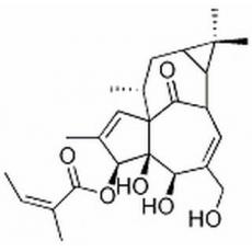 巨大戟醇-3-O-當(dāng)歸酸酯