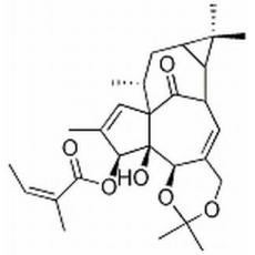 巨大戟醇-5,20-縮丙酮-3-當(dāng)歸酸酯