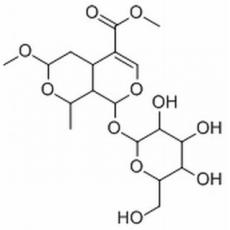 7-O-甲基莫諾苷