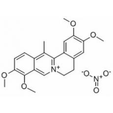 去氫延胡索甲素硝酸鹽