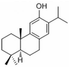 Ferruginol