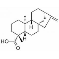 Kaurenoic acid