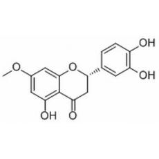 7-O-Methyleriodictyol