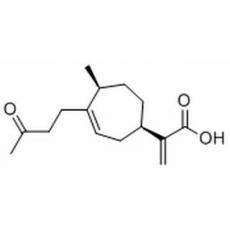 4-Oxobedfordiaic acid