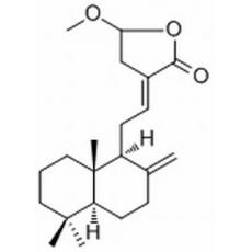 二羥丙茶堿D甲醚