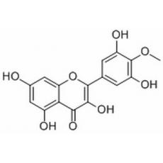 Mearnsetin