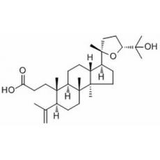 Shoreic acid