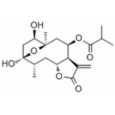 圓葉腫柄菊素 A