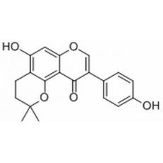 α-Isowighteone