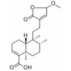 15-Methoxypatagonic acid