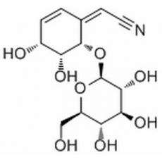 5-Epilithospermoside