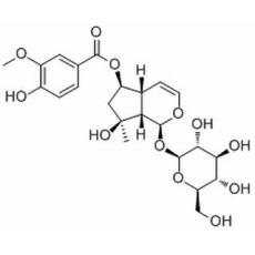 6-O-香草?；罟遣荽? width=