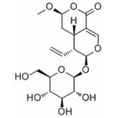 表斷馬錢(qián)子甙半縮醛內(nèi)酯