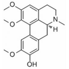  Lauroscholtzine