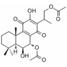 紋香茶菜 B