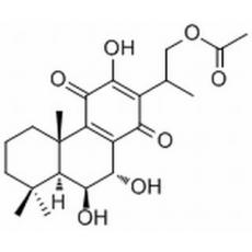 紋香茶菜 E