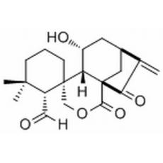 毛果香茶菜醛 A