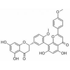 2,3-Dihydroisoginkgetin