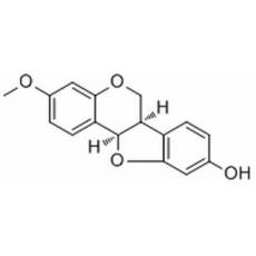 異美迪紫檀素