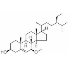 Schleicheol 1