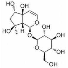 6-Epiharpagide