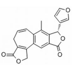  Isosalvipuberulin