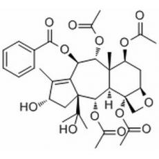 云南紅豆杉酯甲